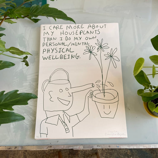 Houseplants-Neighbourhood Store