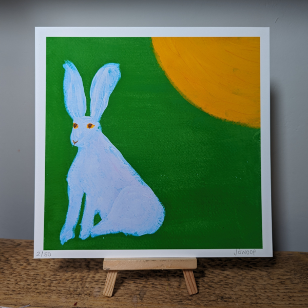 Snow Hare