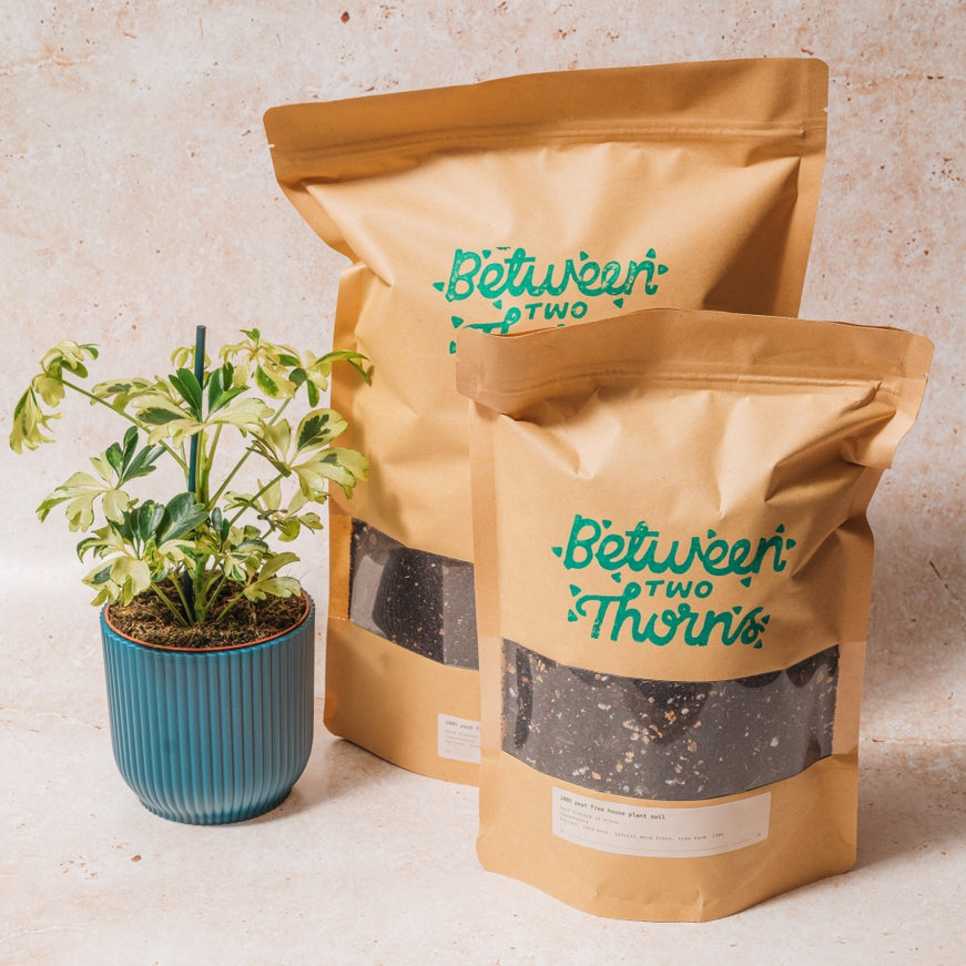Peat Free House Plant Soil - 500g