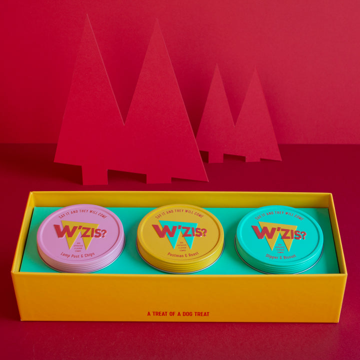 W'SIZ Triple Tin Bundle