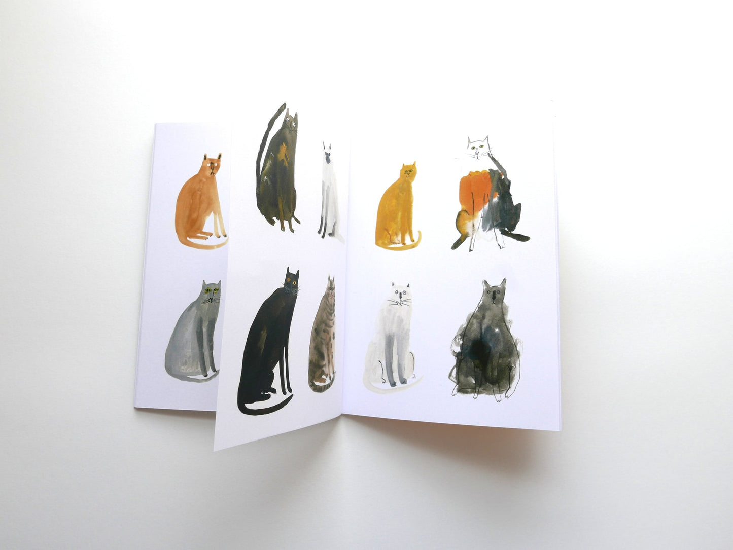 One Hundred Curious Cats-Neighbourhood Store