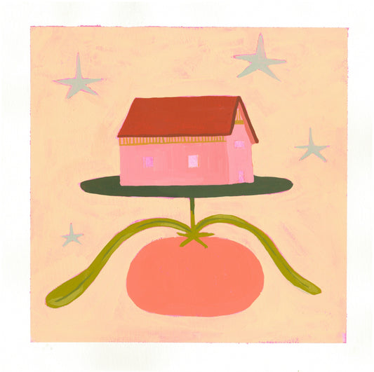 Tomato-Neighbourhood Store