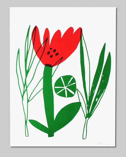 Poppy