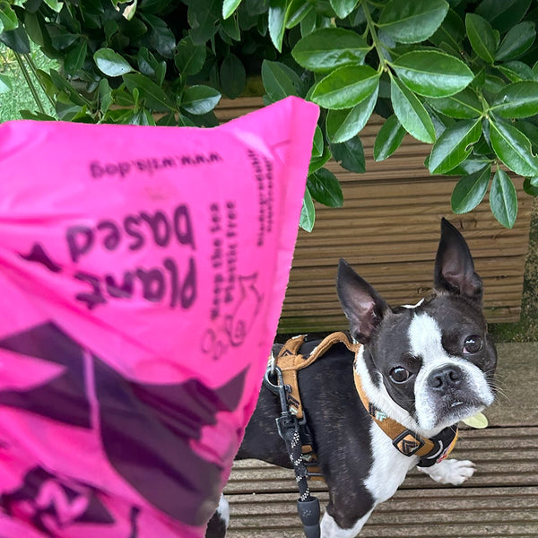 Plant Based Poo Bags-Neighbourhood Store