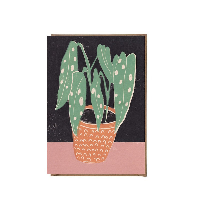 Spotted Begonia-Neighbourhood Store