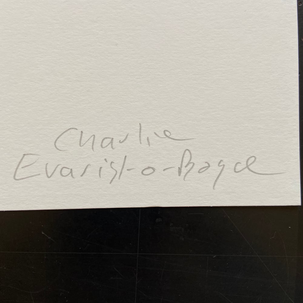 Houseplants-Neighbourhood Store 