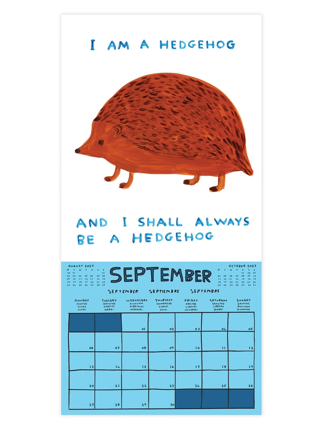 Official and Exclusive David Shrigley 2027 Calendar - PRE-ORDER