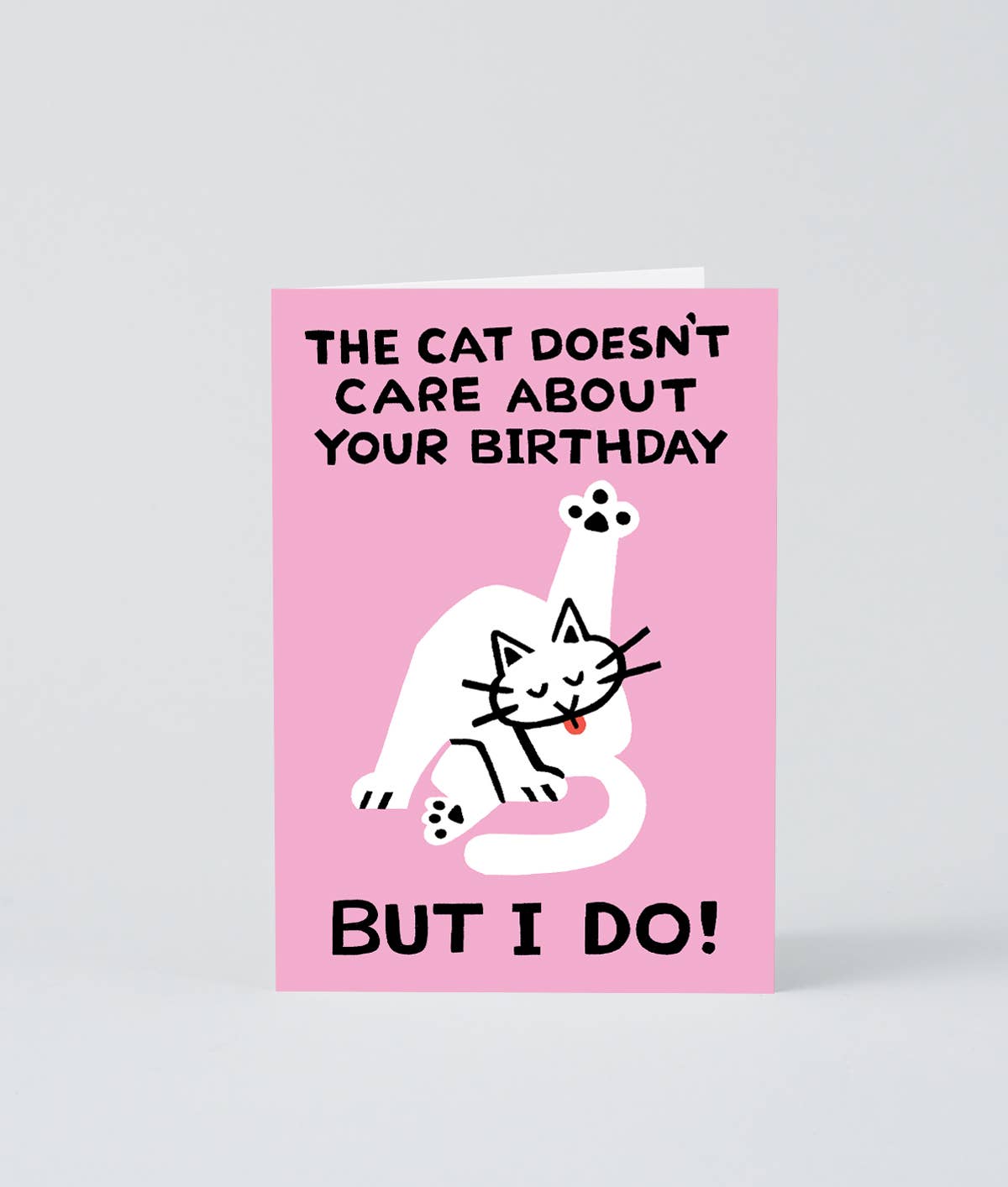 The Cat Doesn’t Care