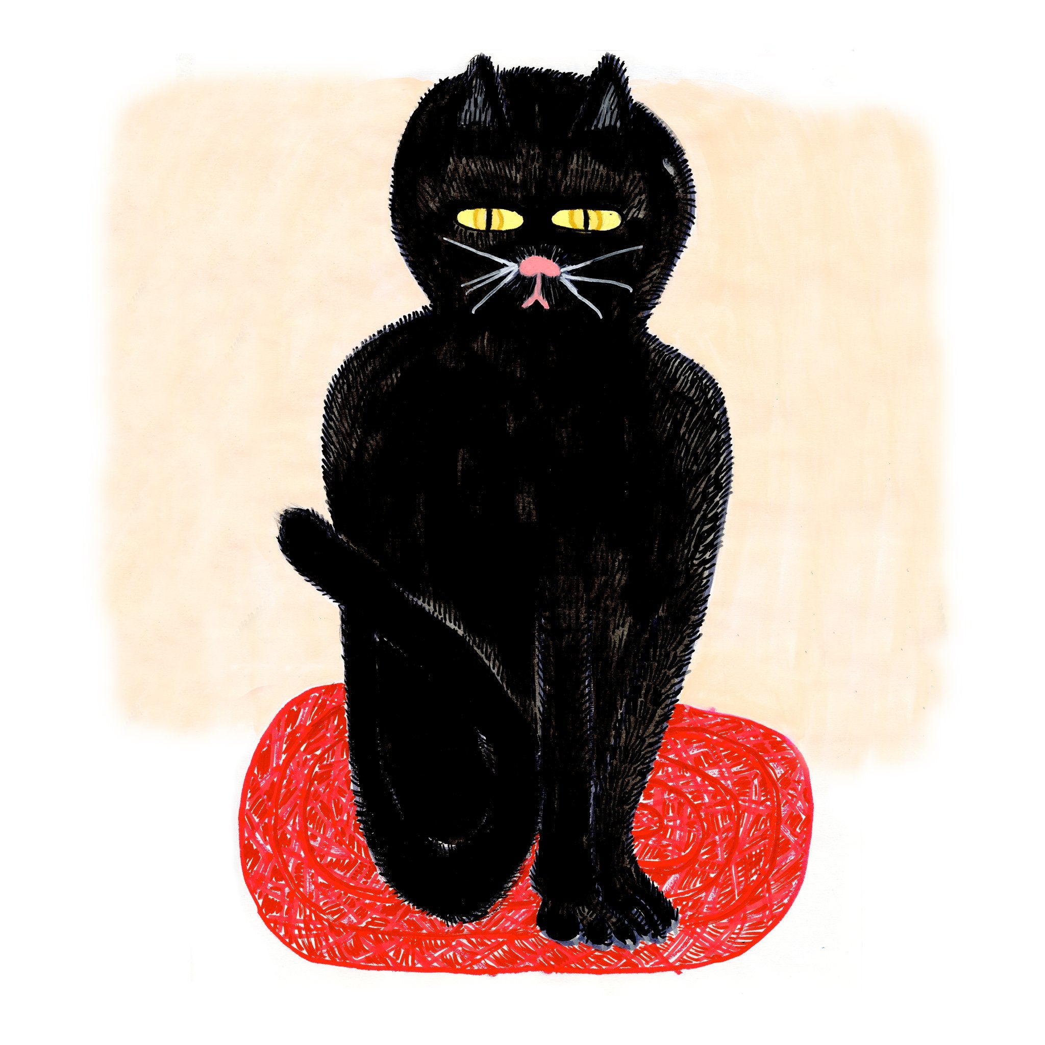 6049f0ff45e42d1cbc99c46b_hanky-bestcat-12_1777896337861.jpg