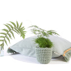 6049f0ff45e42d1cbc99c46b_heather-orr-eucalyptus-montage_1776863733073.jpg