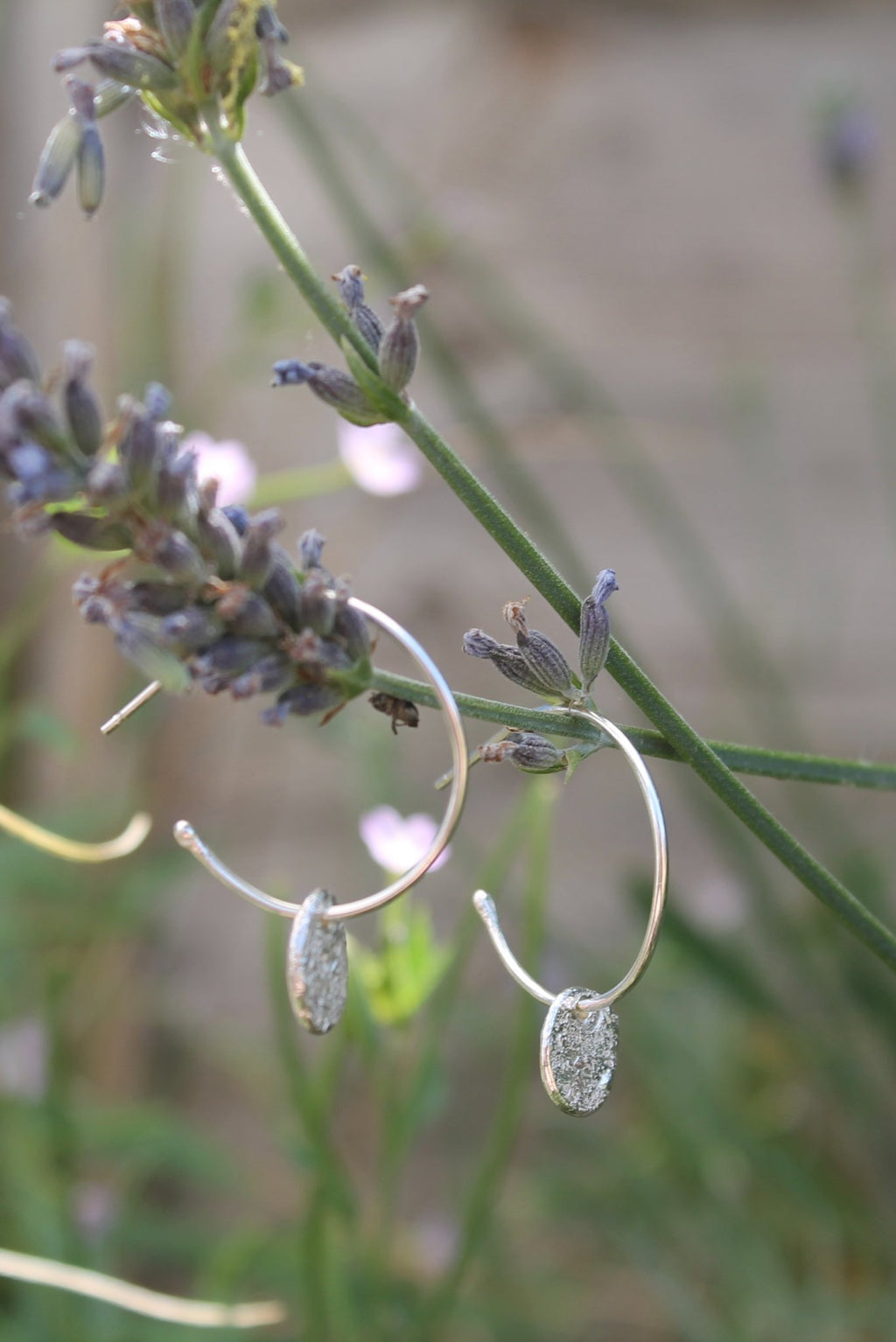 6049f0ff45e42d1cbc99c46b_img-3788_1784371287237.jpg