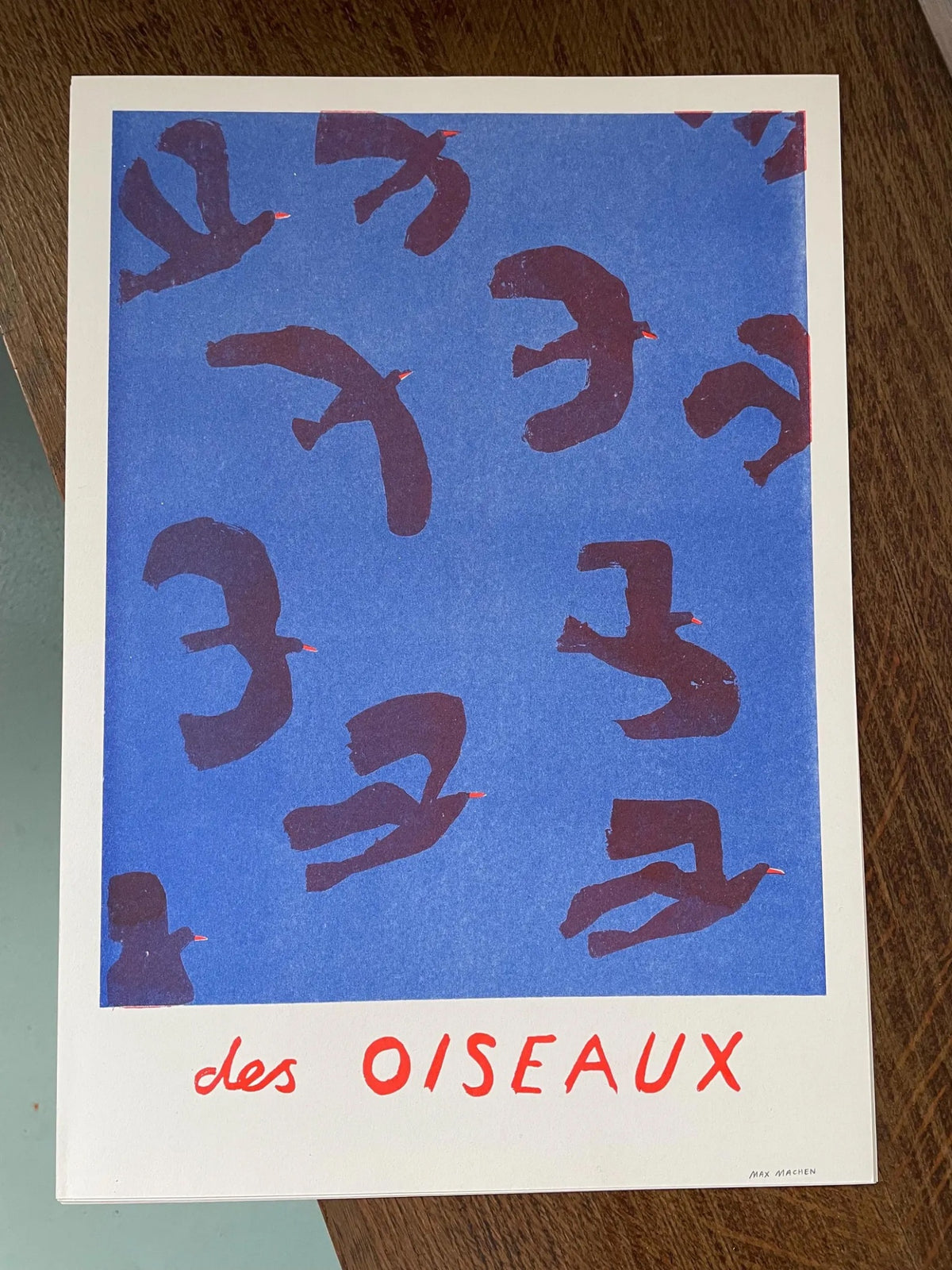 6049f0ff45e42d1cbc99c46b_oiseaux_1792357984442.jpg