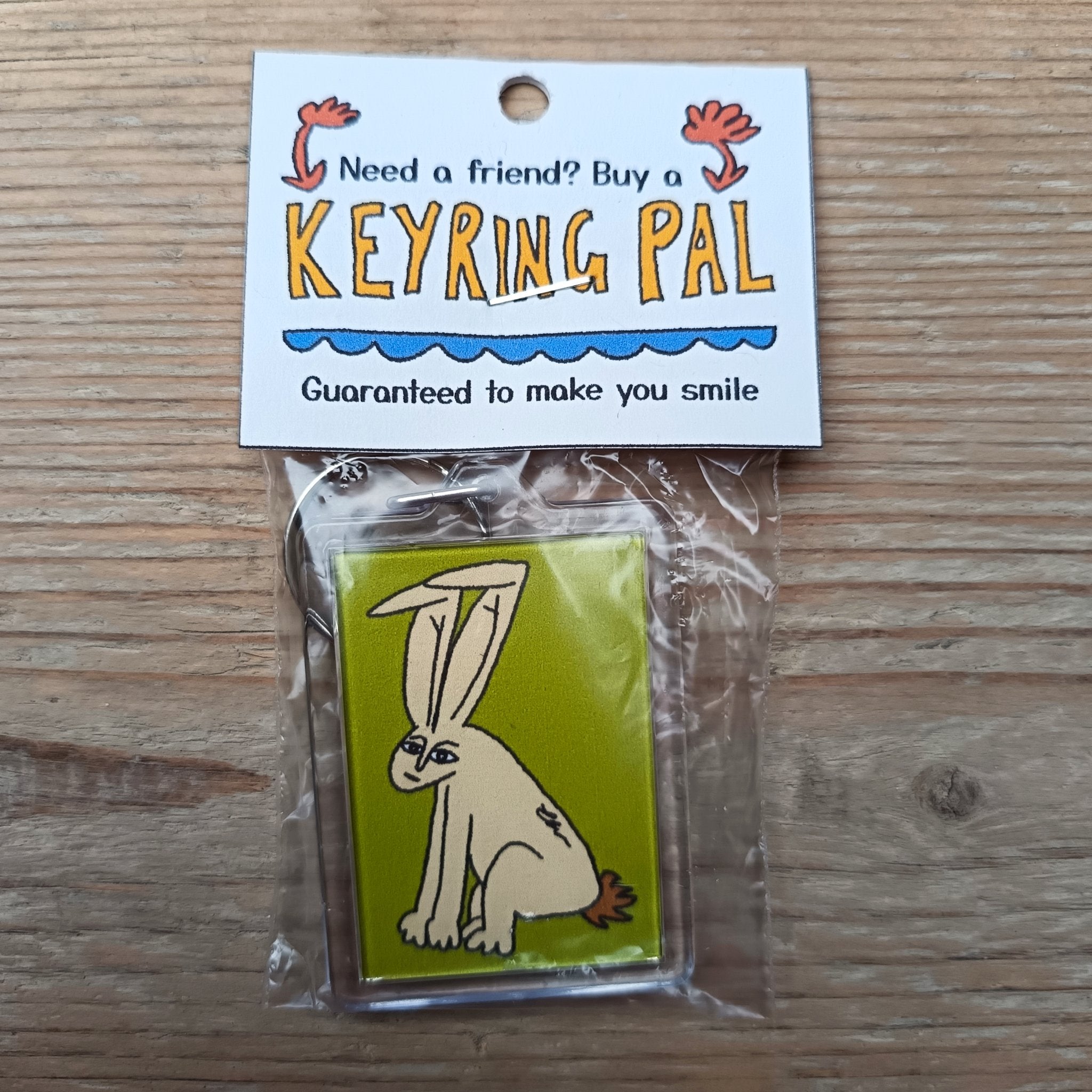 6049f0ff45e42d1cbc99c46b_rabbit-keyring-pal-front_1760707392877.png