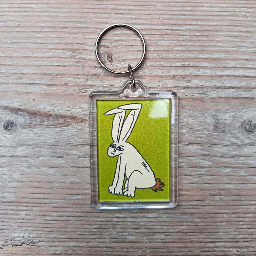 6049f0ff45e42d1cbc99c46b_rabbit-keyring-pal_1760707392877.png