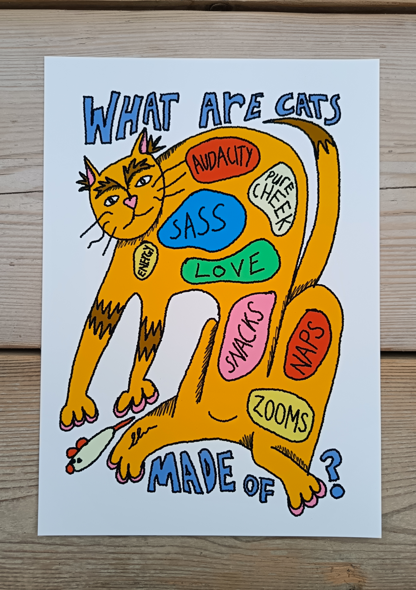 6049f0ff45e42d1cbc99c46b_what-are-cats-made-of_1775559191138.png