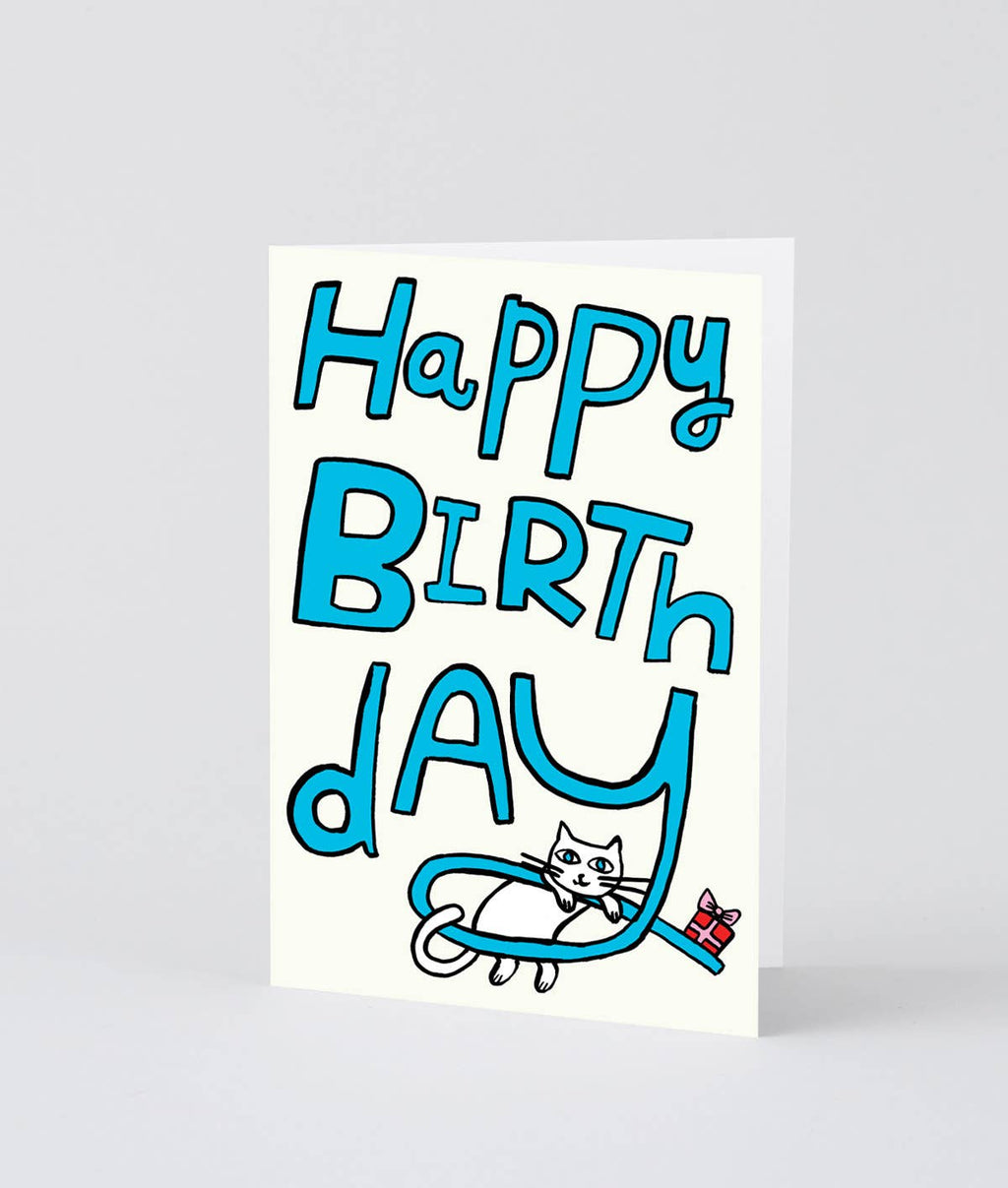 Happy Birthday Cat & Present