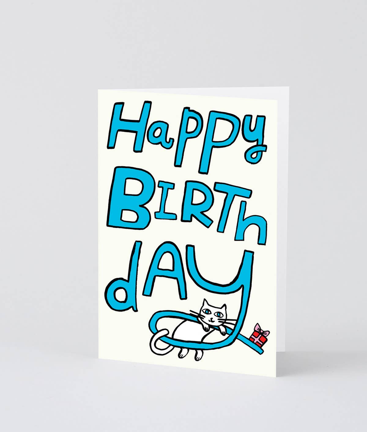 Happy Birthday Cat & Present