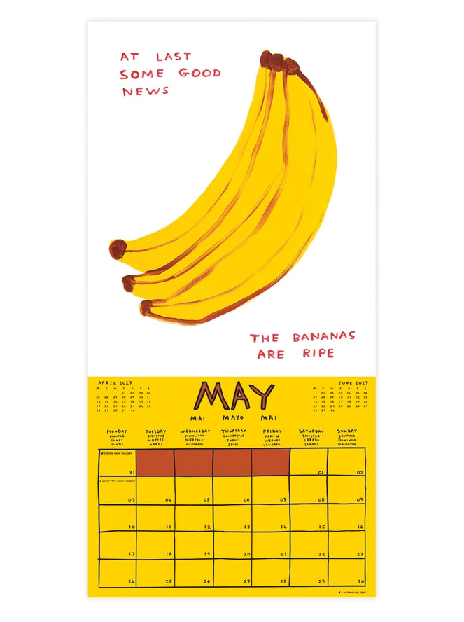 Official and Exclusive David Shrigley 2027 Calendar - PRE-ORDER