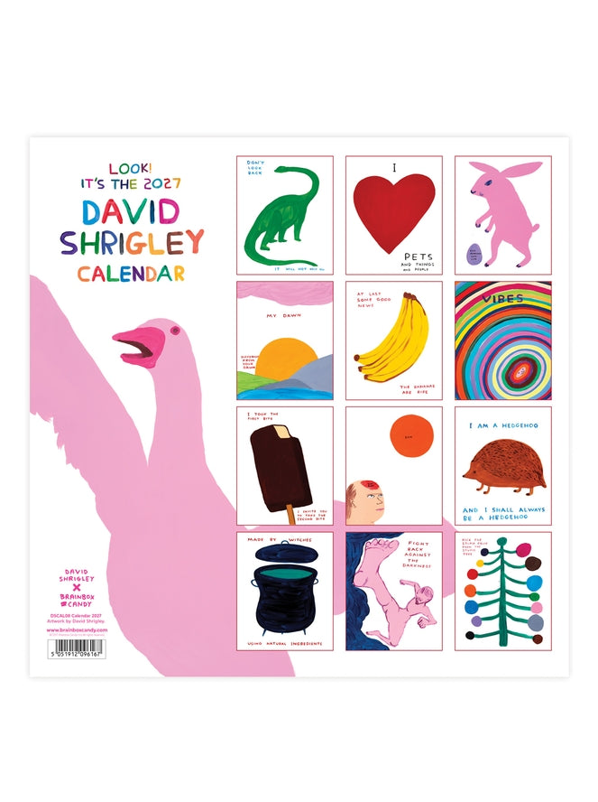 Official and Exclusive David Shrigley 2027 Calendar - PRE-ORDER