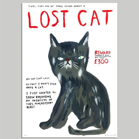 (Not a) Lost Cat (A3)