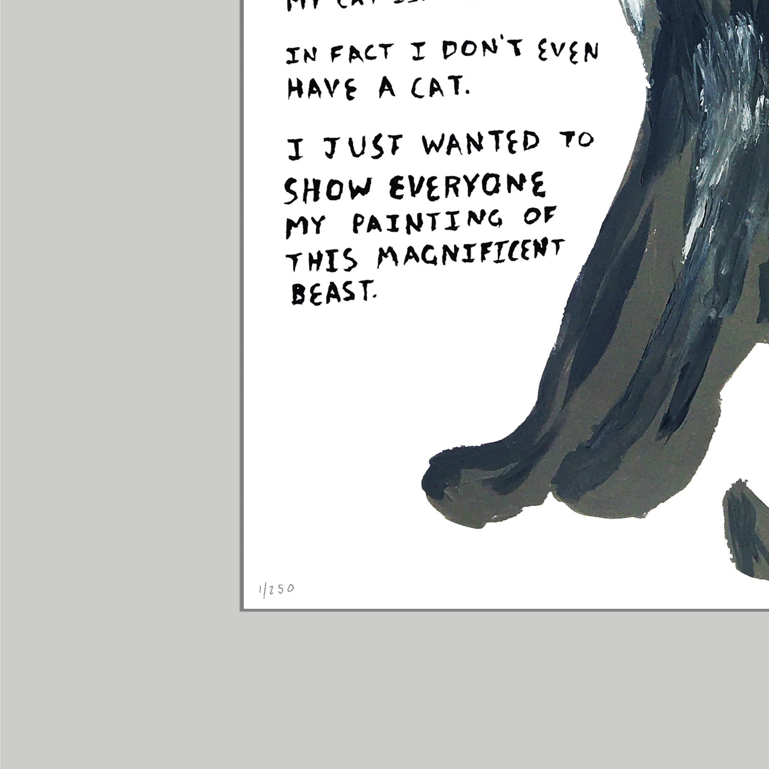 Limited edition (Not a) Lost Cat A3 print featuring humorous handwritten text and partial view of a painted cat figure in black and grey tones on white paper, numbered and signed artwork by @stevexoh | Art, Face, @stevexoh