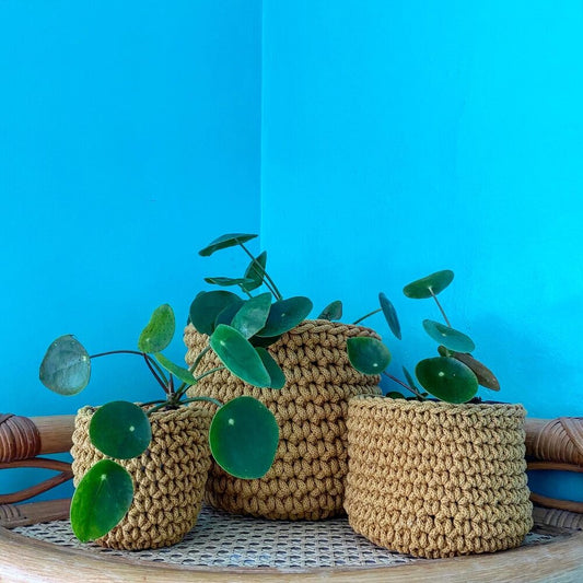 Large Crochet Plant Pot