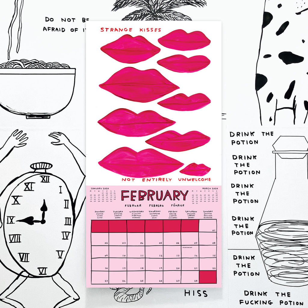 Official and Exclusive David Shrigley 2026 Calendar