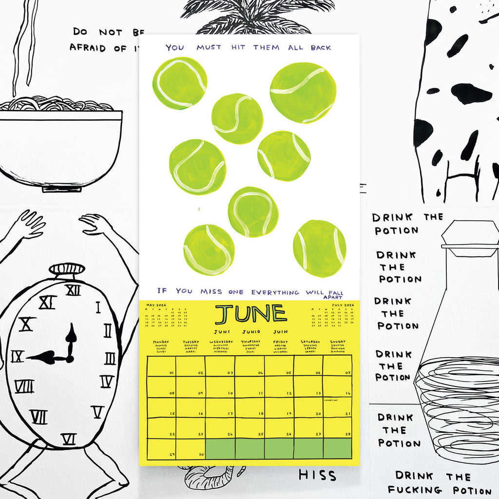 Official and Exclusive David Shrigley 2026 Calendar