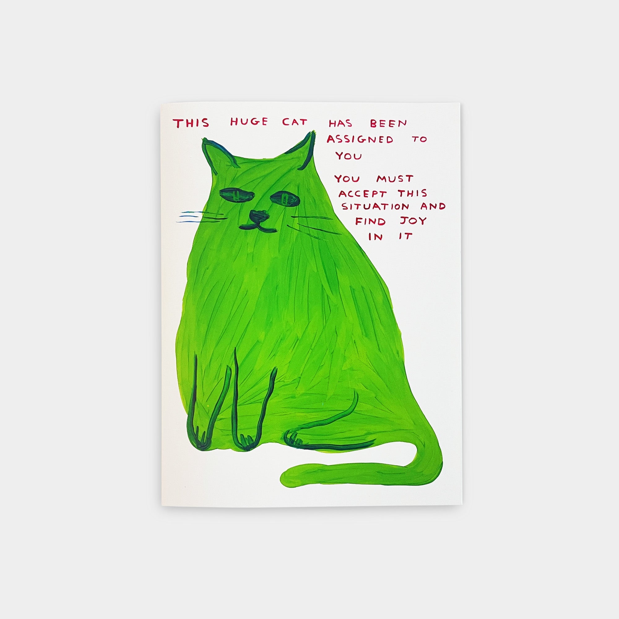 David Shrigley Musical Card. A green cat illustration and text on a white background