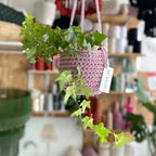 Crocheted Plant Pot