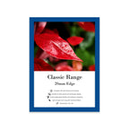 Colourful Picture Frames - Various Sizes