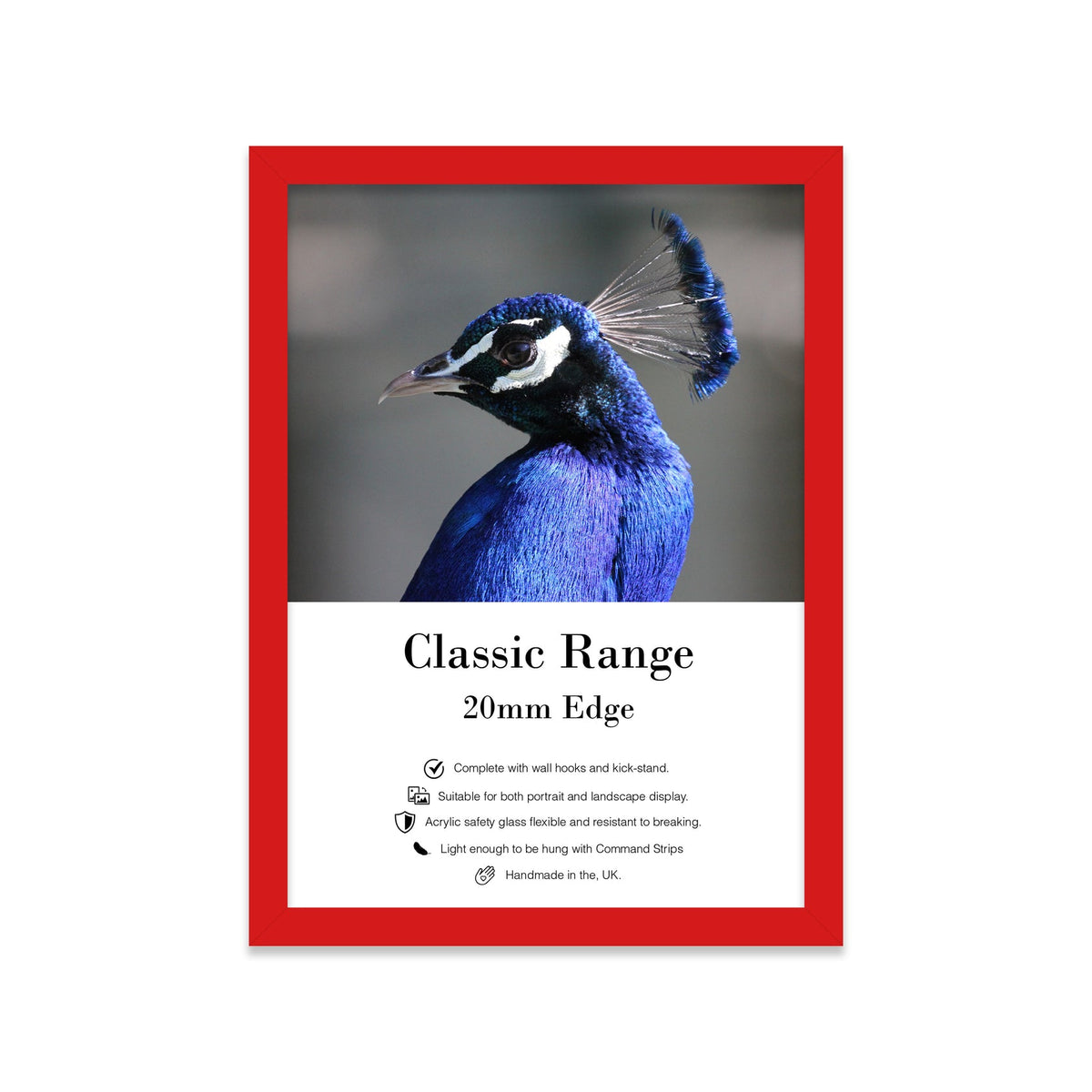 Colourful Picture Frames - Various Sizes