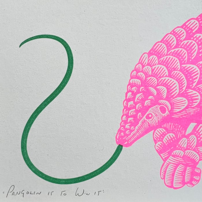 Pangolin it To Win it-Neighbourhood Store 