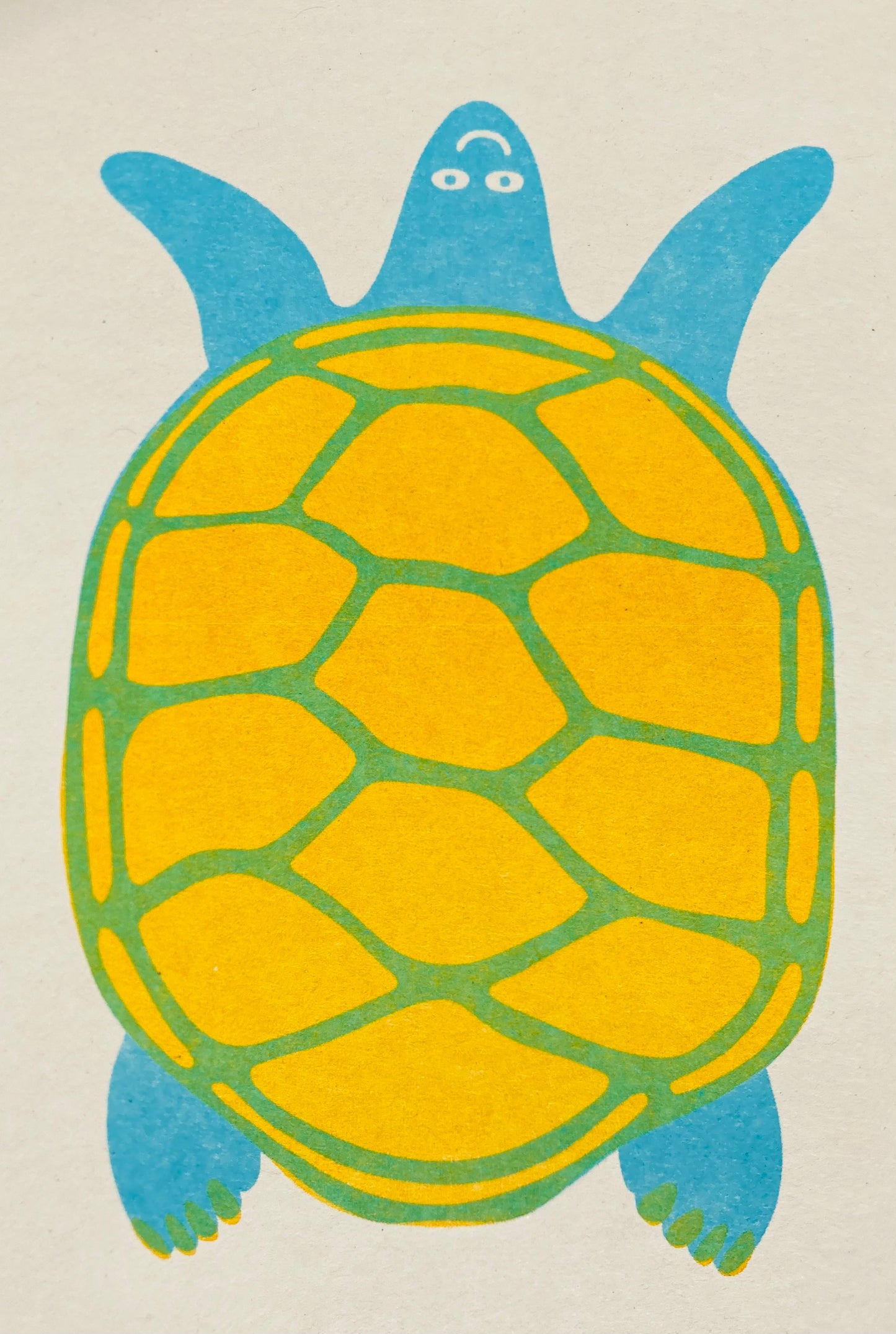 Turtle Card