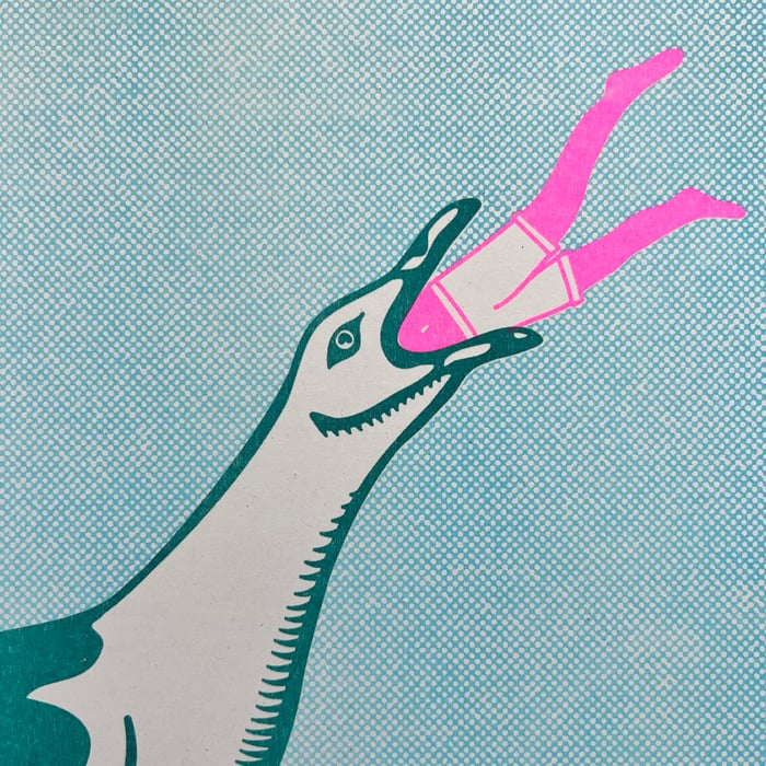 Some Gulls Are Bigger Than Others - Riso Print-Neighbourhood Store 