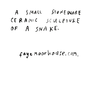 MYSTERY SNAKE