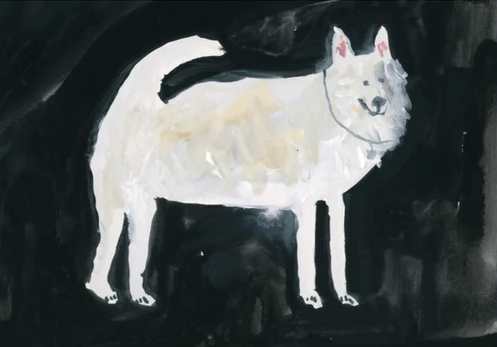 White Dog At Midnight