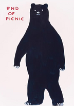 David Shrigley Postcards