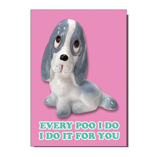 Every Poo I Do