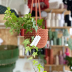 Crocheted Plant Pot
