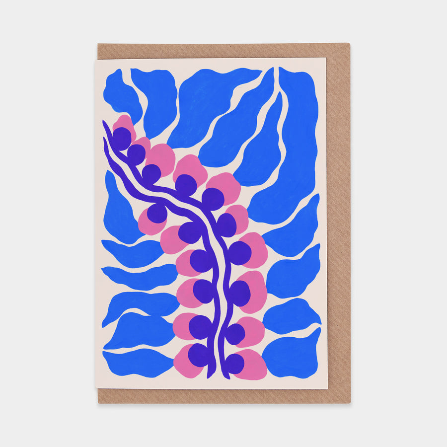 Kelp
