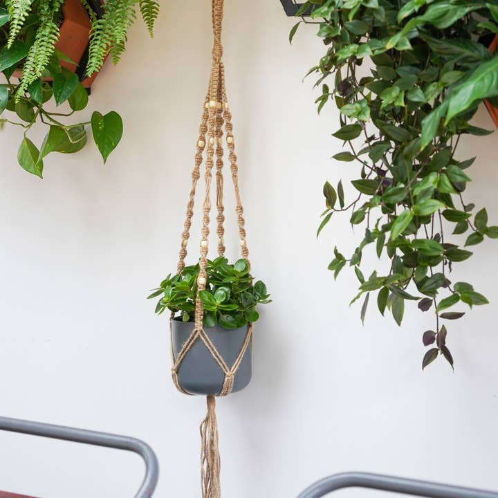 Macrame Plant Hanger Natural H95Cm