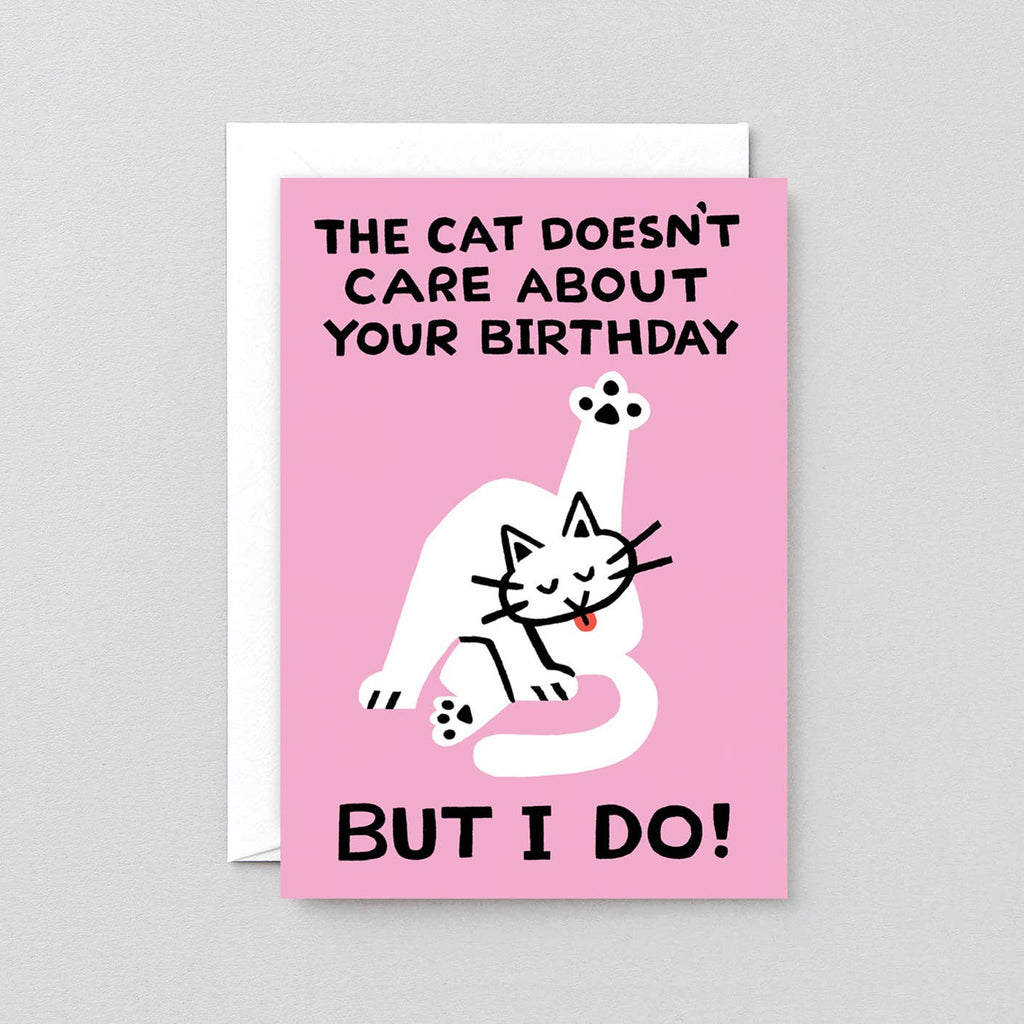 The Cat Doesn’t Care