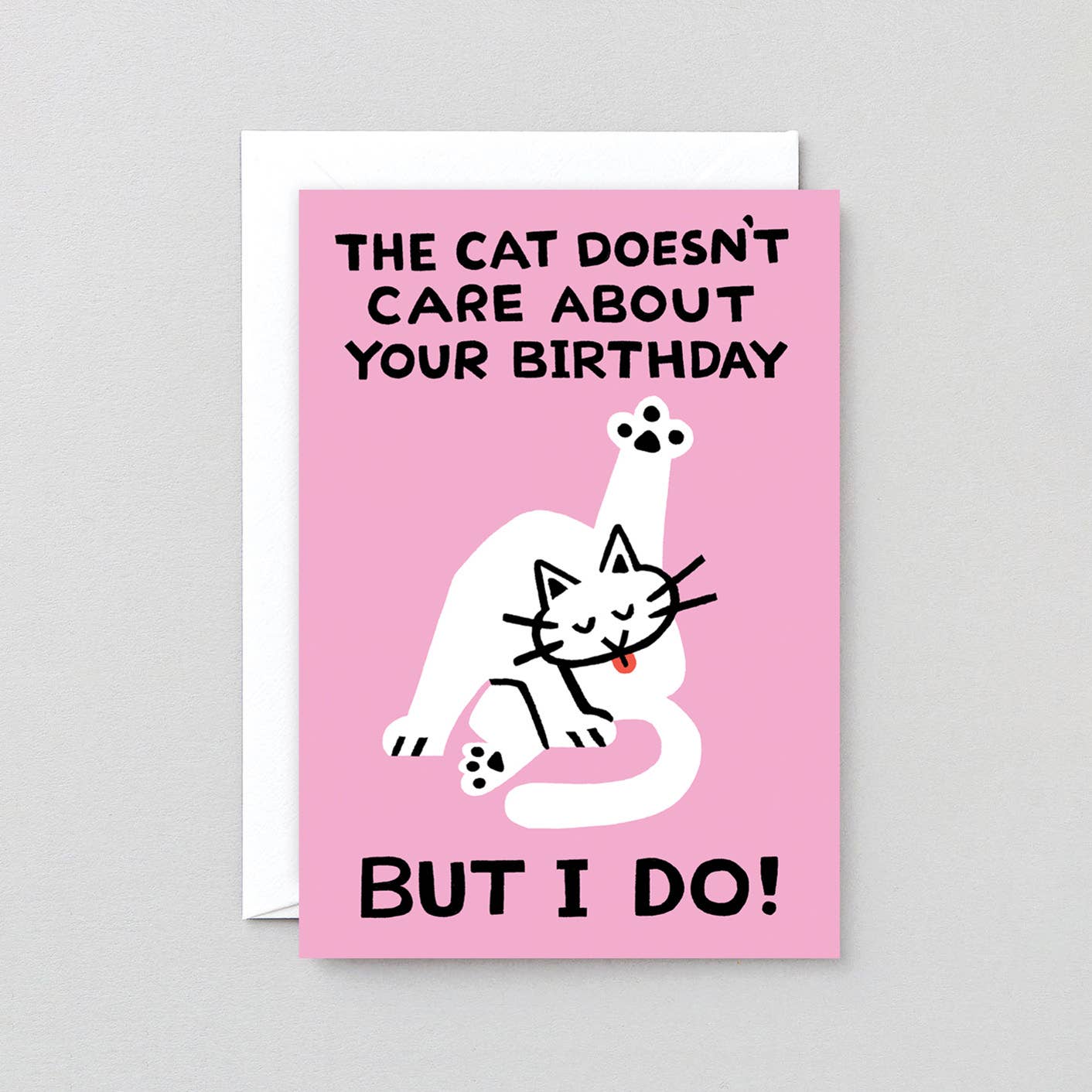 The Cat Doesn’t Care