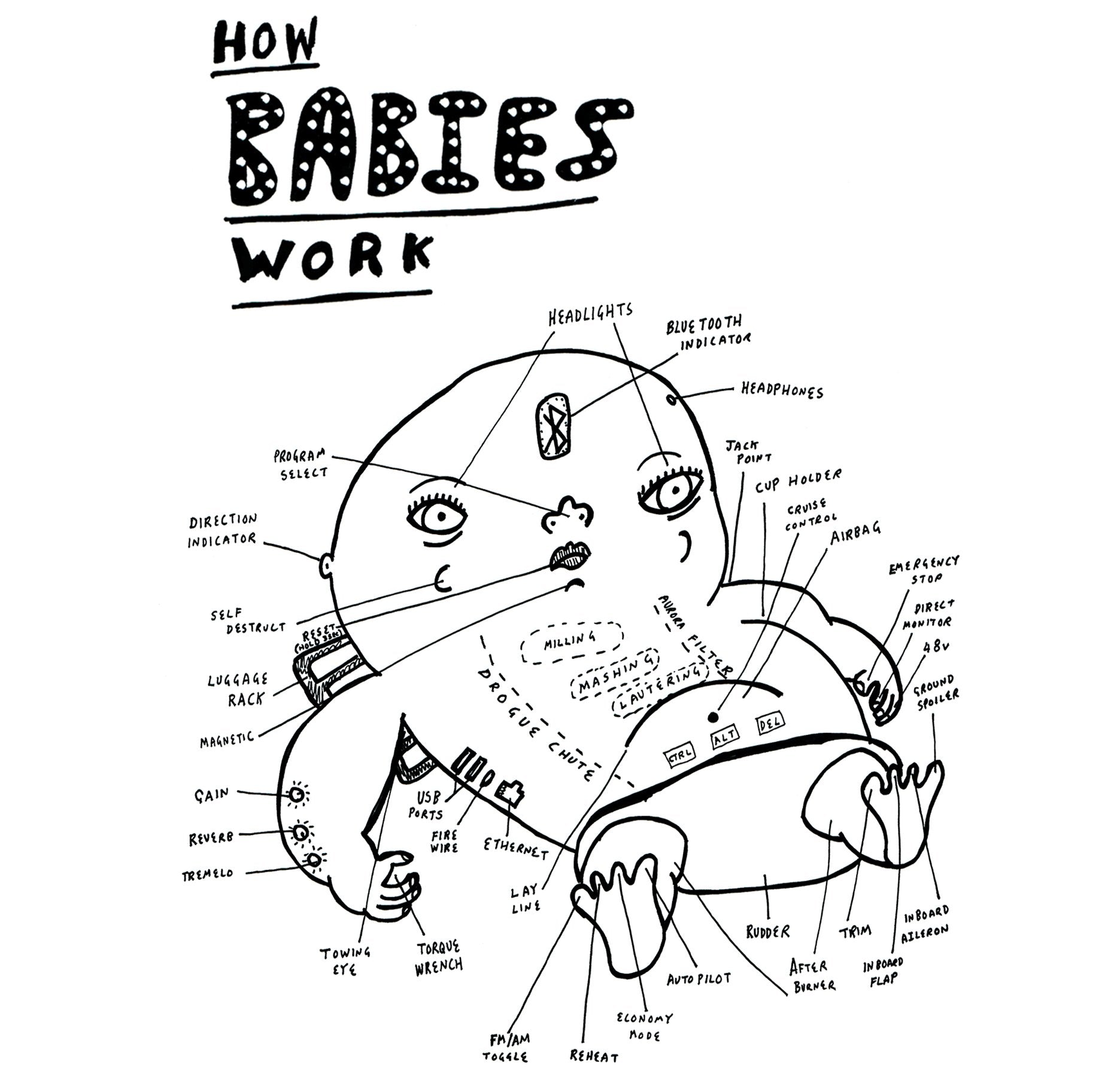 How Babies Work