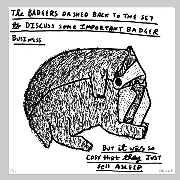The Badgers Fell Asleep-Neighbourhood Store 