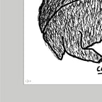 The Badgers Fell Asleep-Neighbourhood Store 