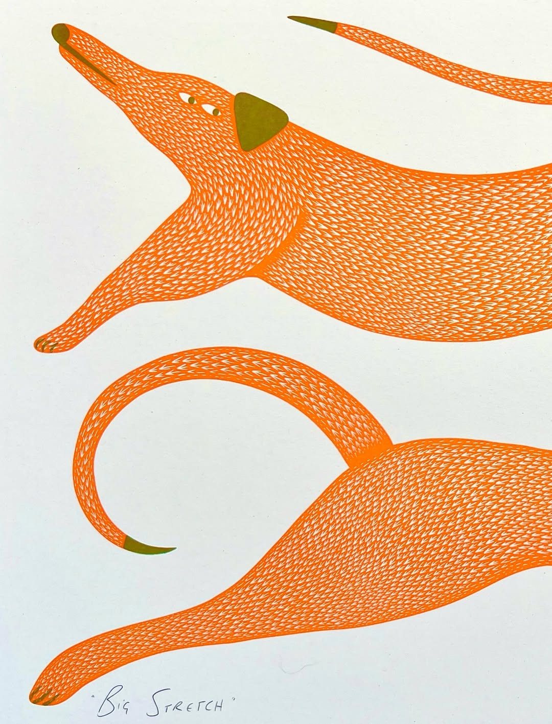 Big Stretch