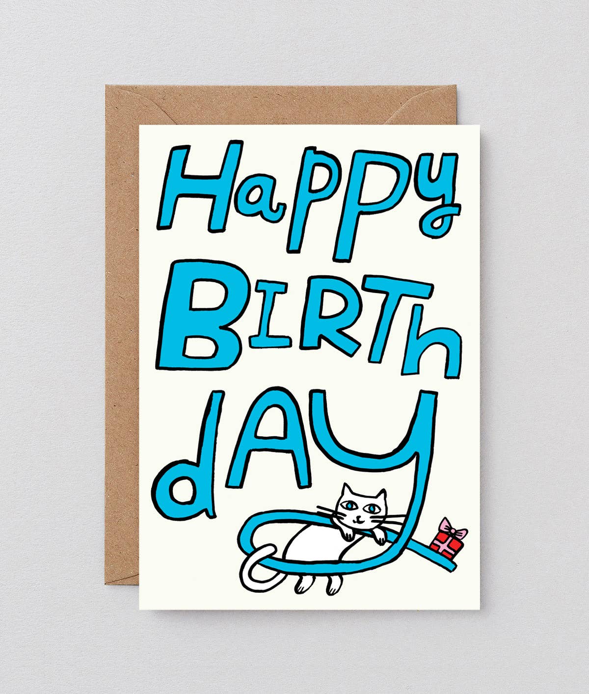 Happy Birthday Cat & Present