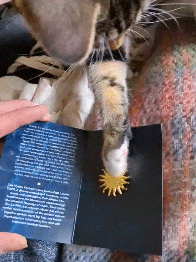 Siren Calling (Spinning Pin)